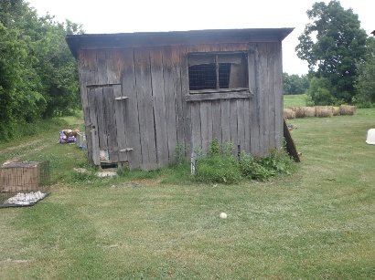 The old hen house