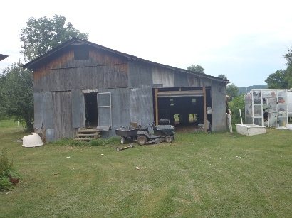 The shop